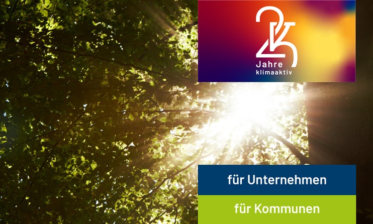 11_Klimaspaziergang_Klimaanpassungsmaßnahmen_Logo