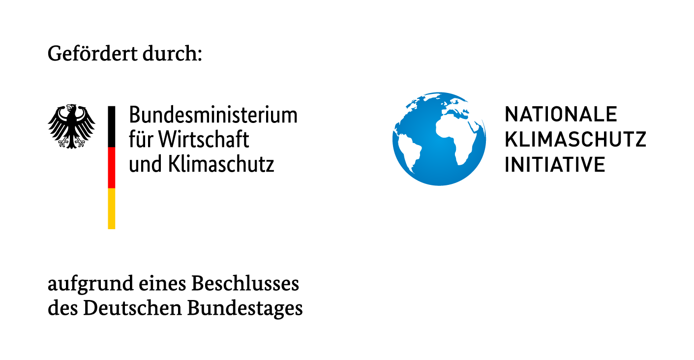 Logo Förderung BMWK NKI