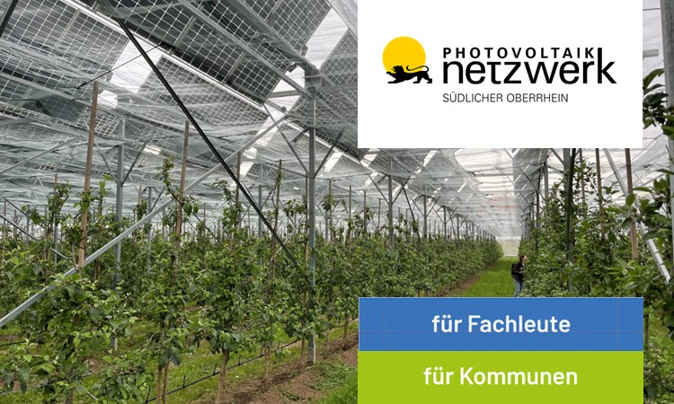 Titelbild Agri-Photovoltaik in der Praxis: Chancen für Landwirtschaft und Kommunen