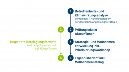 Die Grafik zeigt nacheinander die vier Schritte eines Klimaanpassungskonzepts auf: Betroffenheits- und Klimawirkungsanalyse, Prüfung lokaler Akteur*innen, Strategie- und Maßnahmenentwicklung und Ergebnisbericht inkl. Maßnahmenkatalog.
