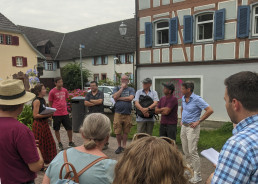 Eine Gruppe von Menschen in der Ettenheimer Altstadt beim Hitzespaziergang.