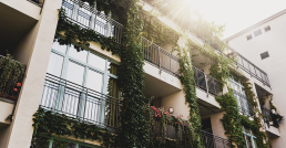 Fassadenbegrünung an einem Mehrparteienhaus.